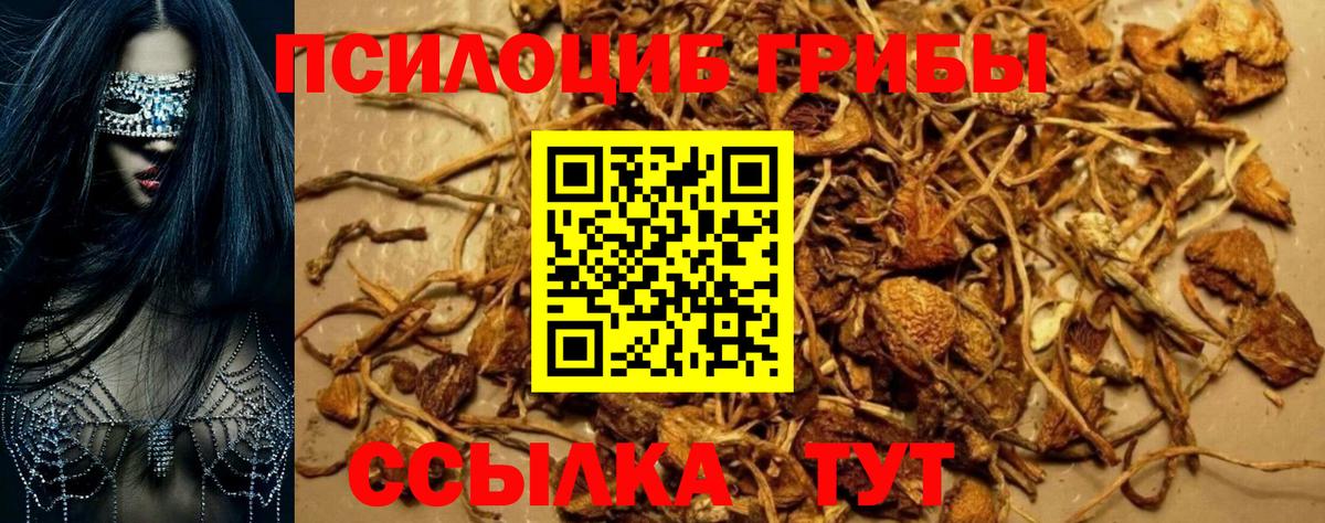 Мирный  Псилоцибиновые грибы Psilocybe  наркотики  Вход с VPN 